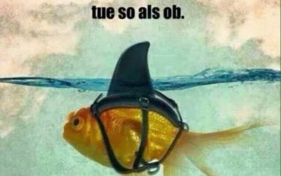 Handlungskreislauf Gewalt: 4 Phasen | Günther Pfeifer – Sicherheit