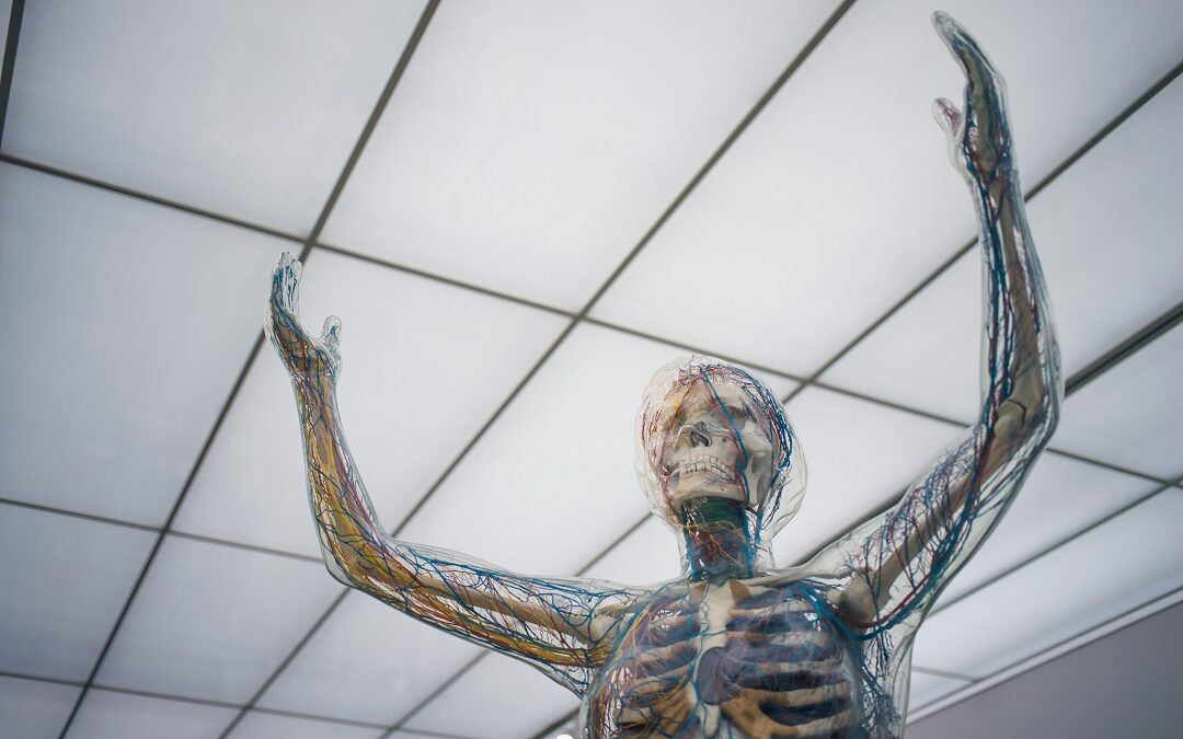 Angst vor der Arbeit: Mentale Selbstschutz-Strategien