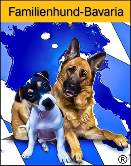 Unsere Partnerschaft mit Schulhundeausbildung Bavaria
