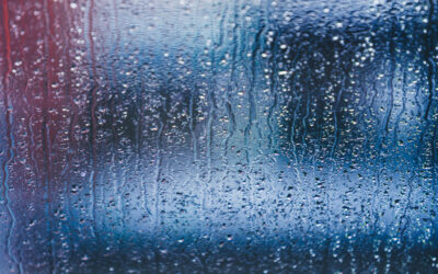 Gewaltprävention KRITIS – Inhouse Schulung – 2026