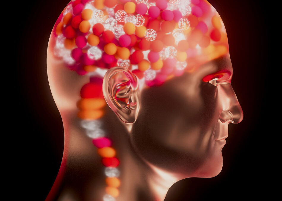 Visualisierung der neurobiologischen Stressreaktion und Impulskontrolle im Gehirn bei Aggressionsbewältigung und Gewaltprävention